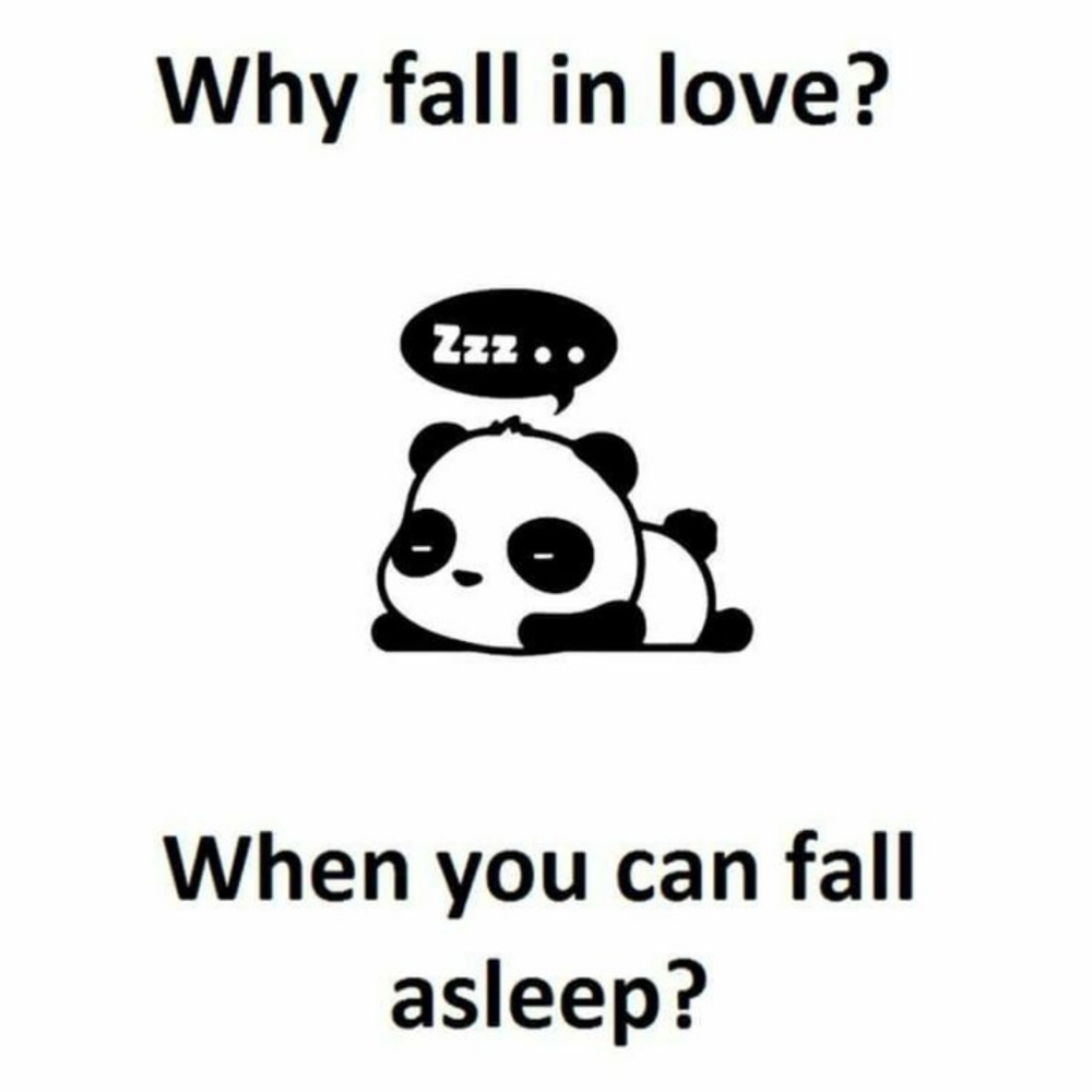 Meet your Posher, Panda - Picture 3 of 4
